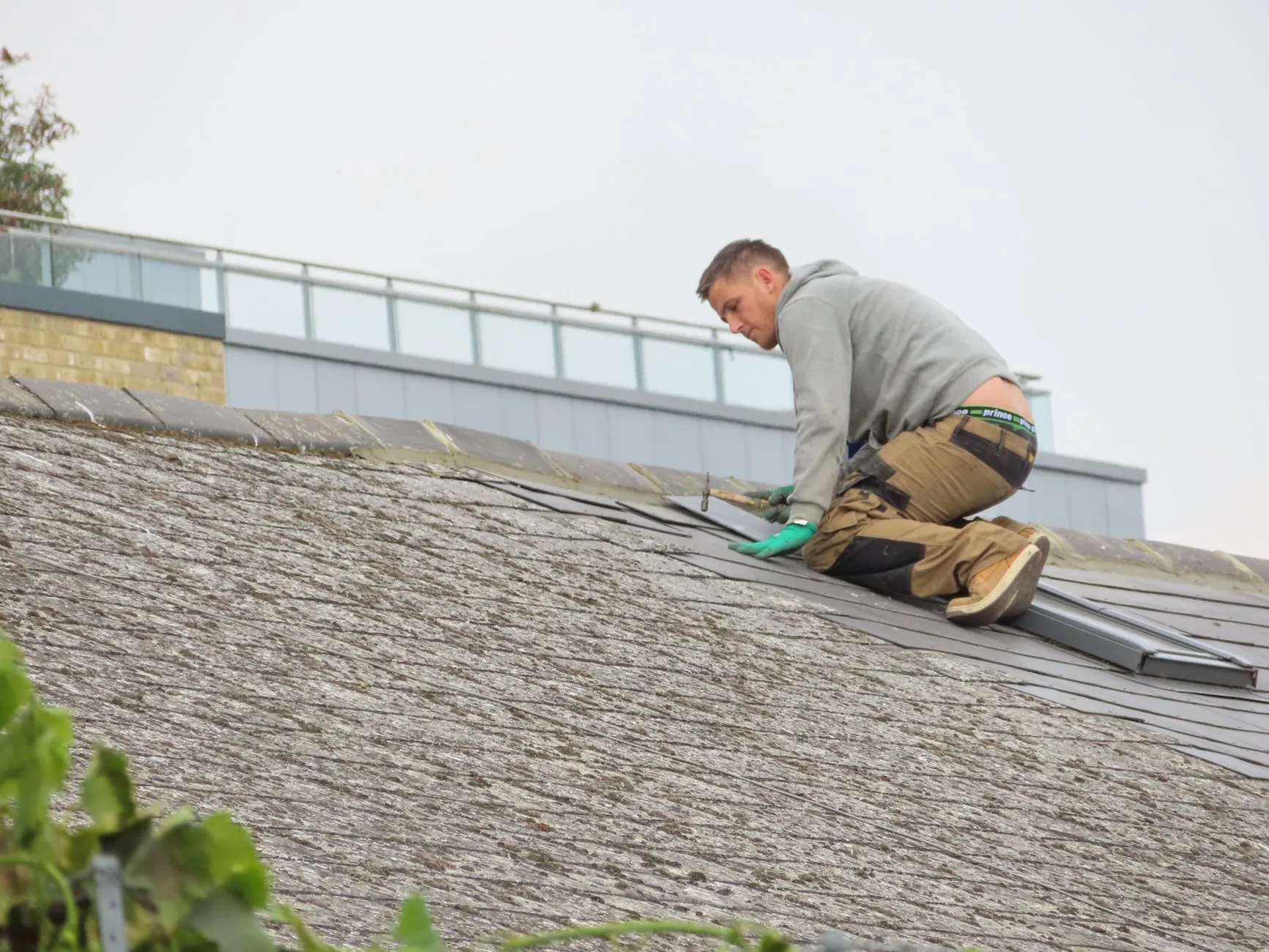 Asphalt shingles on a residential roof.